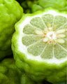Bergamote