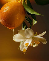 Fleur d'oranger